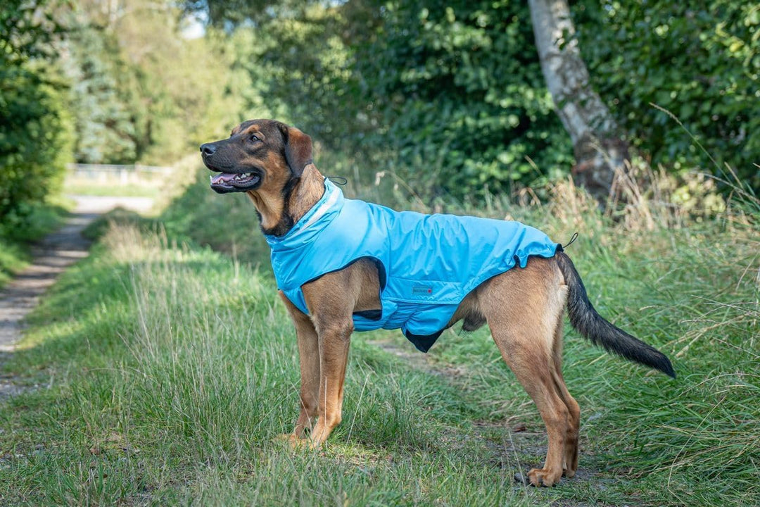 Wolters Outdoorjacke Modern Classic | Hundejacke die perfekt schützt bei Kälte und Nässe | Blau - Gr