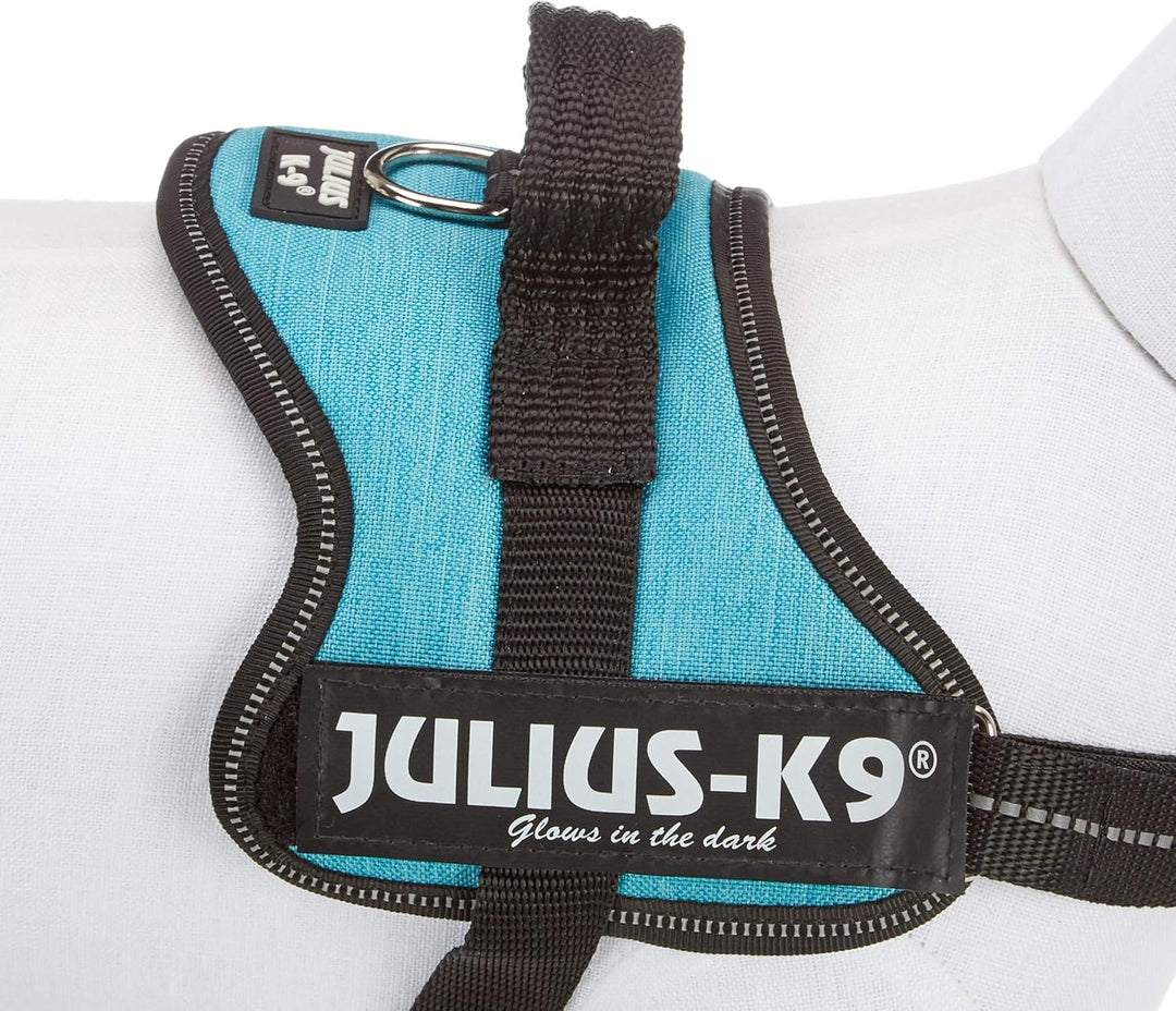 Julius K-9 Powergeschirr, Grösse: XS/Mini-Mini, Ozean - Sackstoff mehrfarbig Mini-Mini/S (Pack of 1)