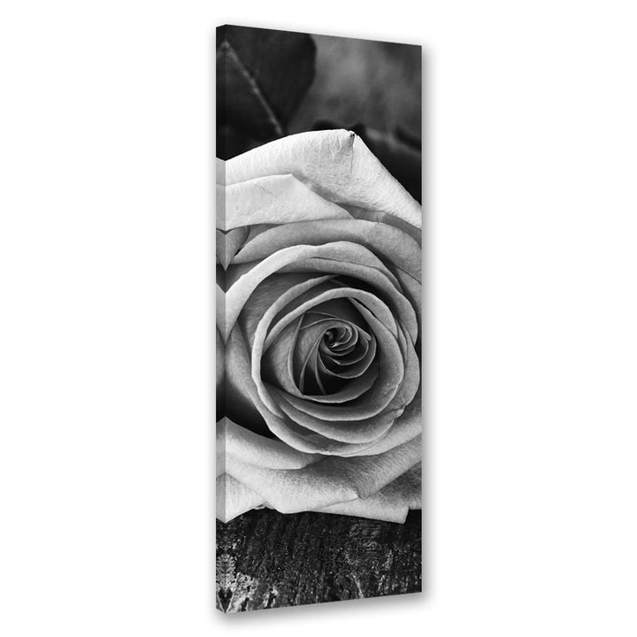 Feeby Wandbild Rose Druckbild Leinwandbild abstrakt schwarz-weiss 40x120 cm Leinwandbild 40x120 cm S
