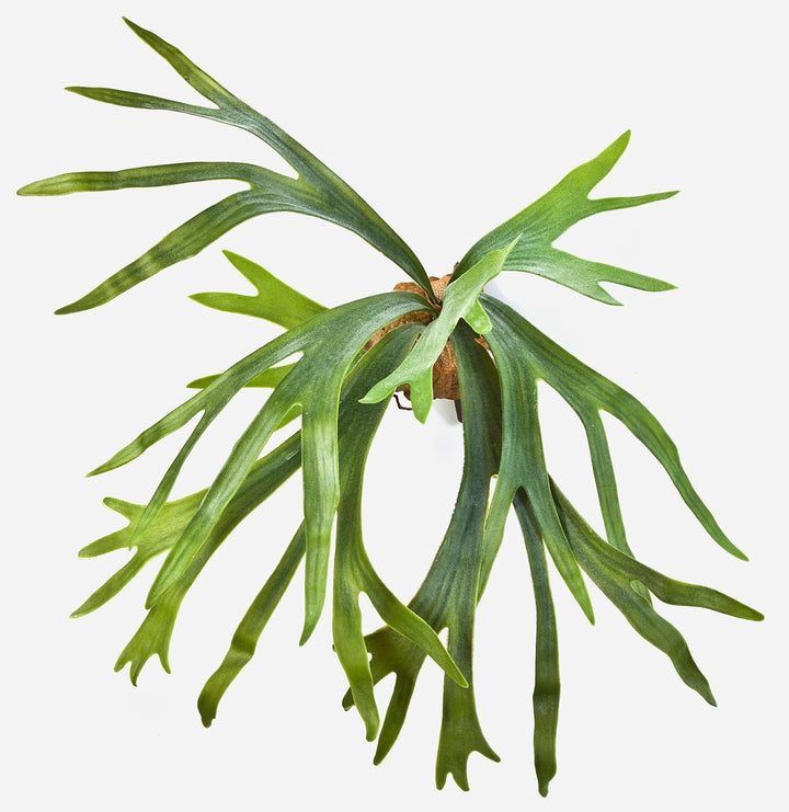 artplants.de Künstlicher Geweihfarn George, 8 Blätter, grün, Ø 50cm, 40cm - Kunst Farn - Kunstpflanz