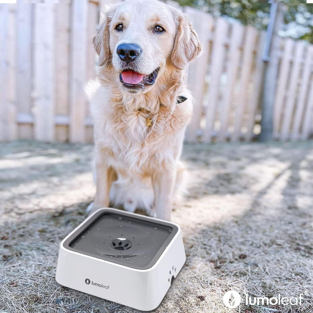 LumoLeaf Wassernapf für Hunde, 2L, Anti-Schwapp Fressnapf Hund Unterwegs mit Kohlefilter, Hundenapf