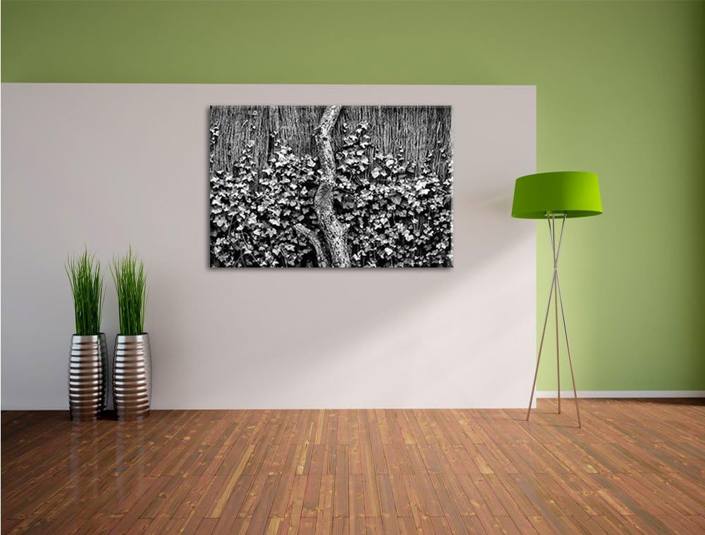 Pixxprint Efeuranke an einem Alten Zaun als Leinwandbild/Grösse: 100x70 cm/Wandbild/Kunstdruck/ferti