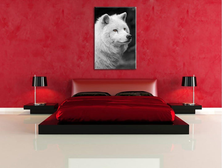 prächtiger Polarwolf schwarz/weiss auf Leinwand, XXL riesige Bilder fertig gerahmt mit Keilrahmen, K