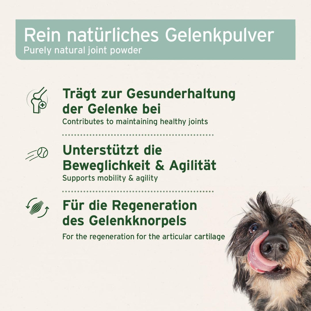 AniForte Grünlippmuschelpulver für Hunde 1kg - Natürliches Grünlippmuschel Pulver in Vollfettqualitä