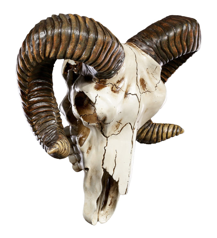 Pacific Giftware Wanddeko Widder Totenkopf mit Hörnern - Trophäe Baphomet Wandrelief Schädel Totensc
