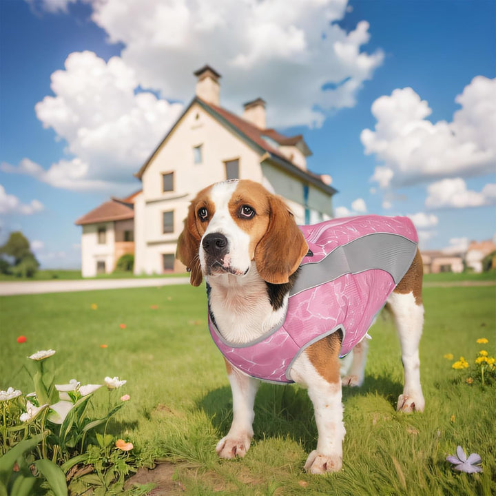 Doppelfunktion Hundemantel Winter Hundejacke & Sommer Hund Kühlweste mit Geschirr D-Schnalle, kaltes