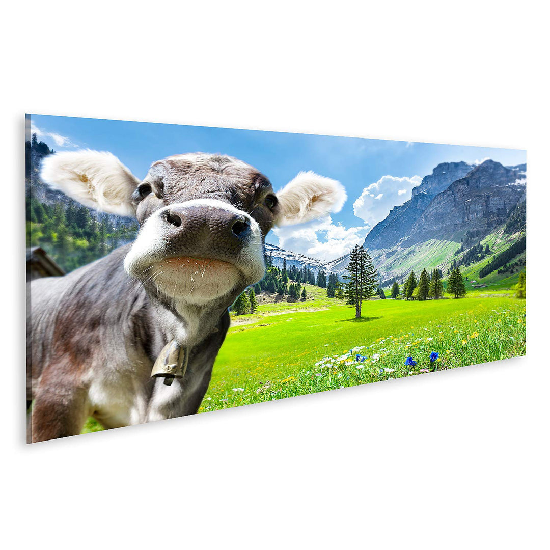 Bild auf Leinwand Kuh in den Schweizer Alpen Bilder Wandbild Poster Leinwandbild 120x40cm - Panorama