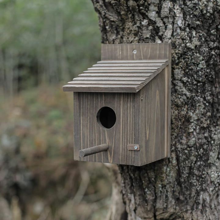 Vogelhaus aus Holz für draussen mit Stange für Finken, Bluebird, Kardinäle, hängendes Vogelhaus, Gar