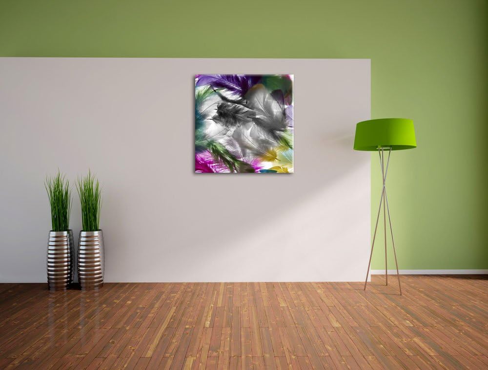 Pixxprint Anordnung von schönen bunten Federn Schwarz/Weiss, Format: 70x70 auf Leinwand, 70x70