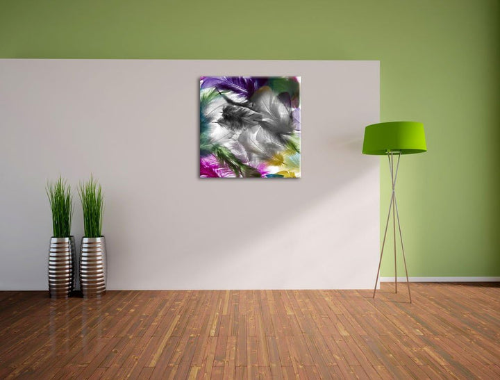 Pixxprint Anordnung von schönen bunten Federn Schwarz/Weiss, Format: 70x70 auf Leinwand, 70x70