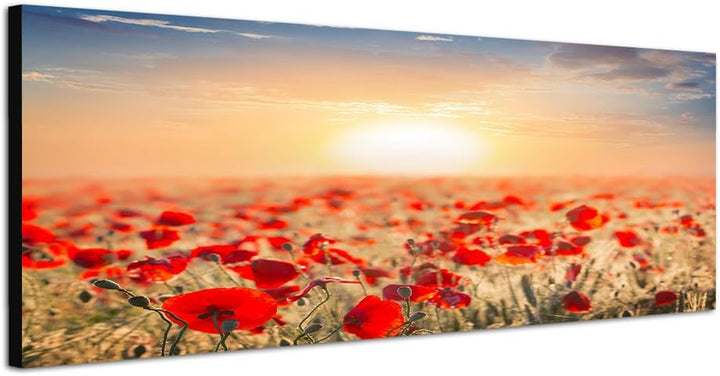Paul Sinus Art Panoramabild auf Leinwand und Keilrahmen 150x50cm Mohnblumen Wiese Sommer Sonnenunter
