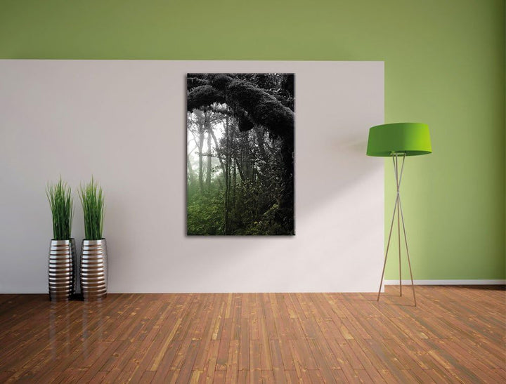 Pixxprint Regenwald in Seiner ganzen Pracht, Format: 70x100 auf hochkantiges Leinwand, XXL riesige B