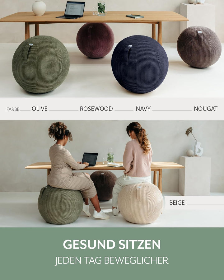 VLUV® BOL VLIP Sitzball Büro Ergonomisch [Atmungsaktiv mit Tragegriff und Wegrollschutz] Waschbarer