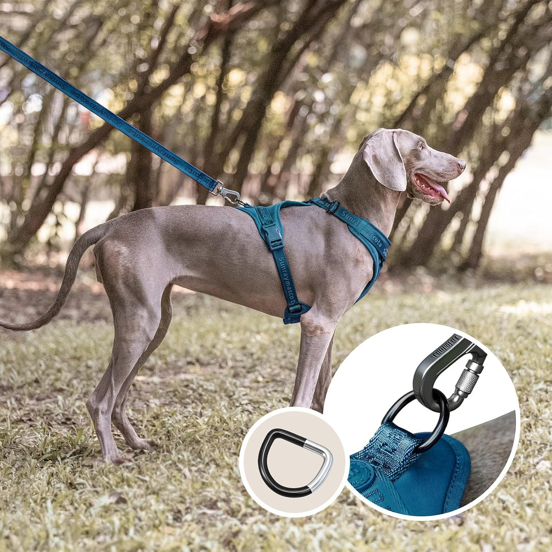 No Pull Hundegeschirr mit weicher Lycra-Polsterung, atmungsaktiver Komfortweste aus Mesh, Verstellba