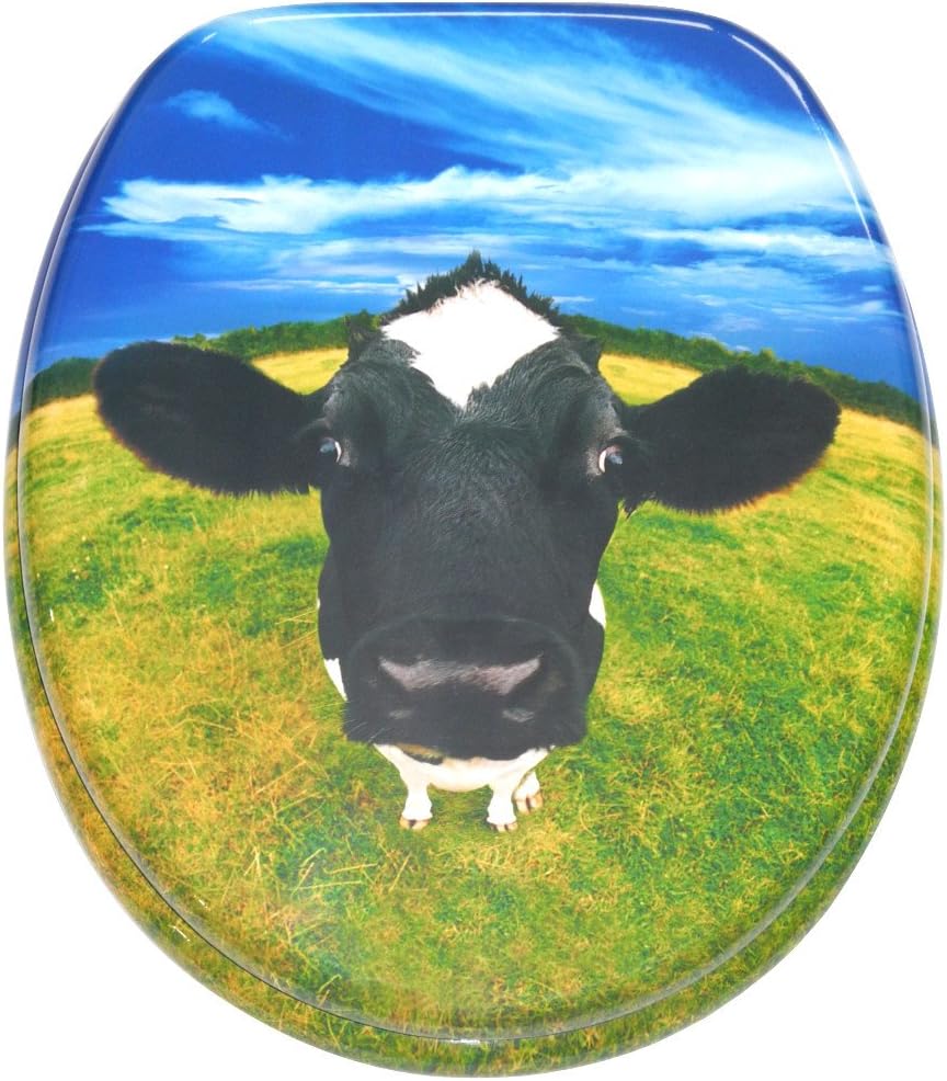 Sanilo WC Sitz, viele schöne Toilettendeckel zur Auswahl, hochwertige und stabile Qualität aus Holz