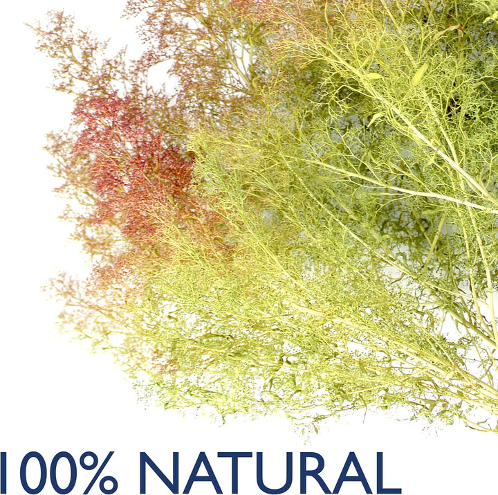 WWS War World Scenics WWScenics Gemischte Modellbau Natur-Bäumen | Modellbau & Modell-Landschaftsbau