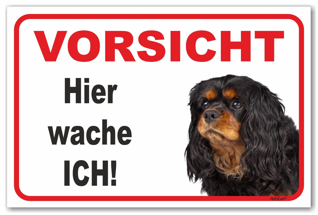 Schild - Vorsicht Cavalier King Charles Spaniel - Hier wache ich - (20x30cm) / Achtung Familienhund