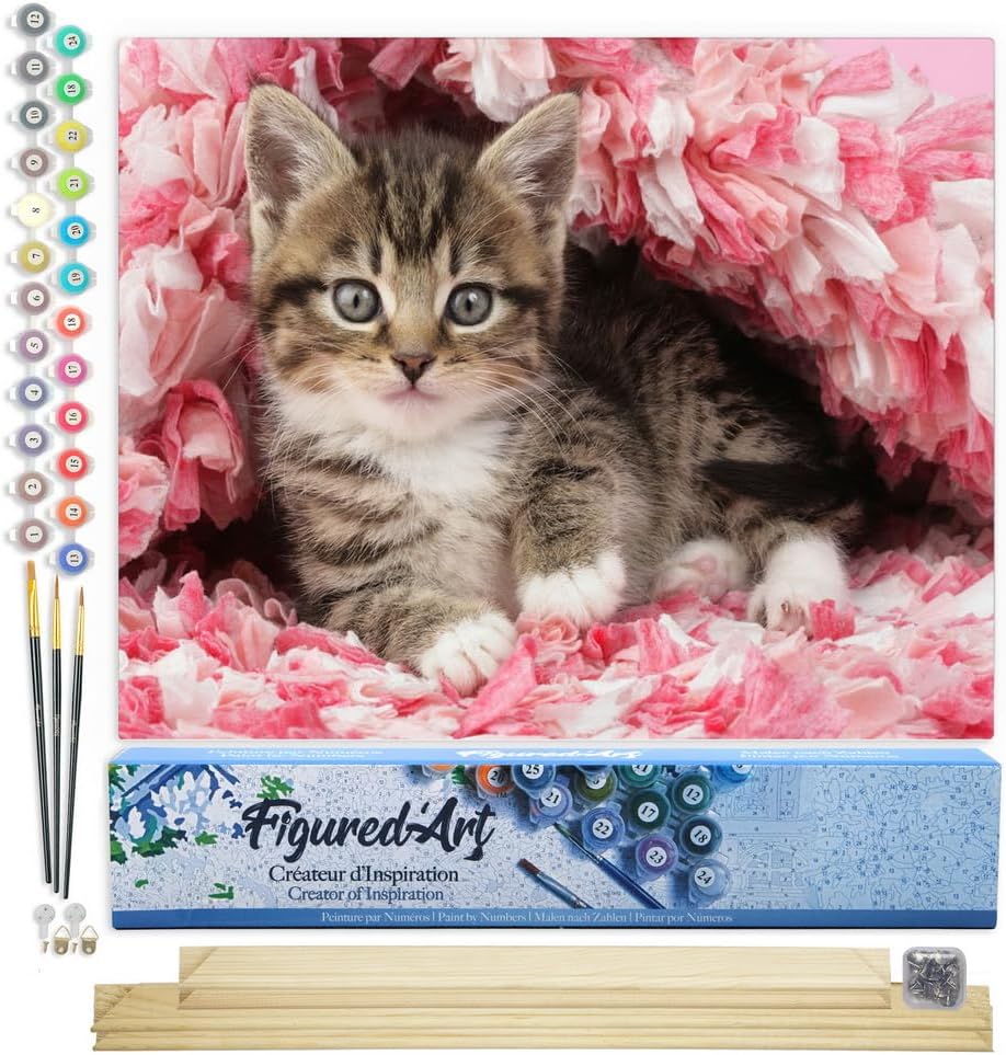 Figured'Art Malen Nach Zahlen Erwachsene Mit Rahmen Katze unter Decke - Paint by Numbers Basteln DIY
