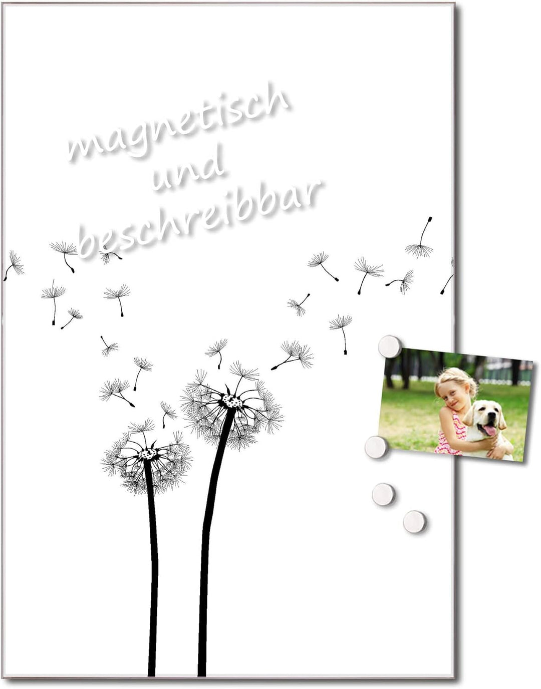 banjado® Glas Magnettafel mit 4 Magneten - Magnetwand 40x60cm mit Motiv Pusteblume 2 - Memoboard/Pin