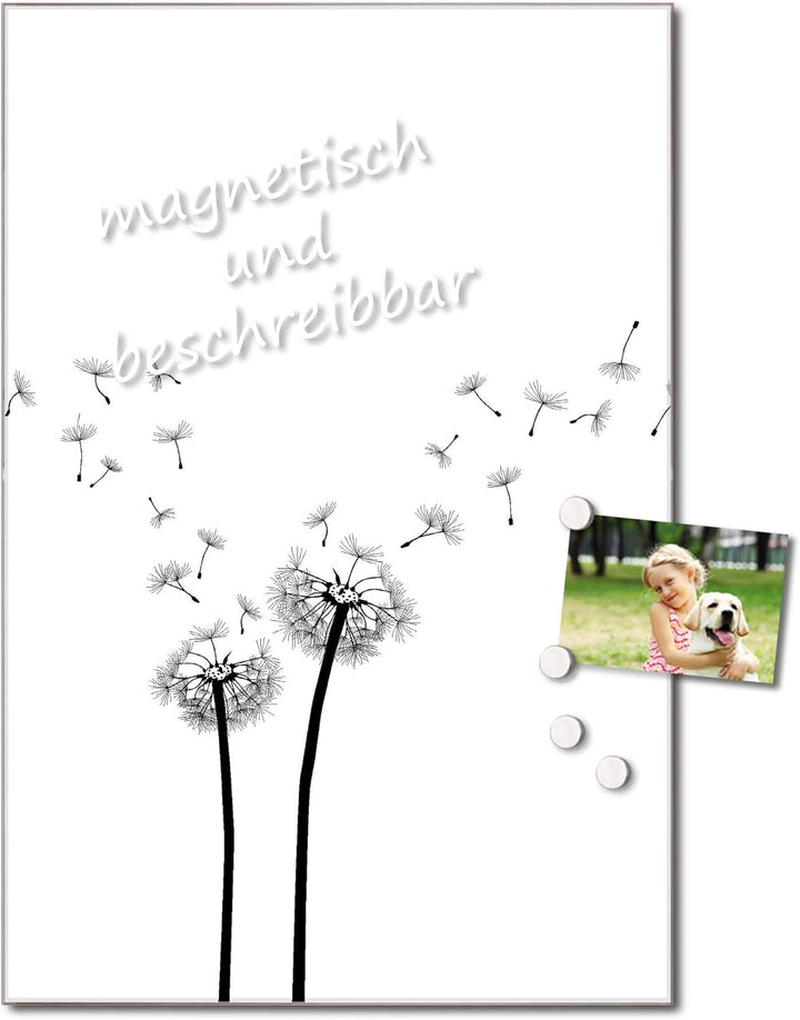 banjado® Glas Magnettafel mit 4 Magneten - Magnetwand 40x60cm mit Motiv Pusteblume 2 - Memoboard/Pin