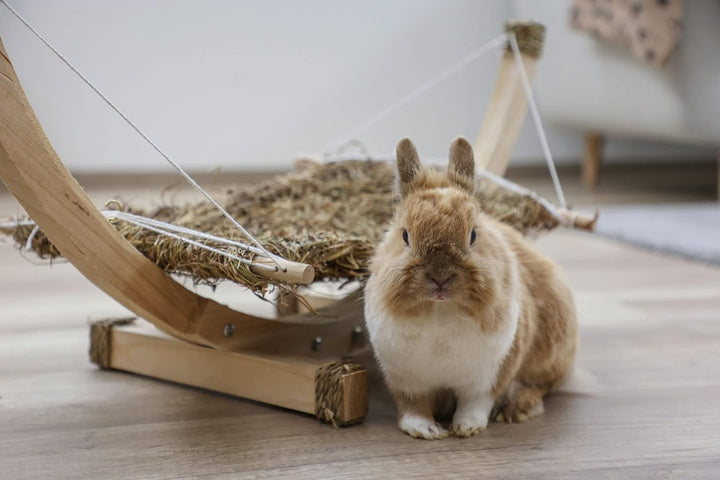 Kerbl Hängematte Siesta (Liegematte für Kleintiere/Nagetiere, besteht aus getrocknetem Gras, ohne Dr
