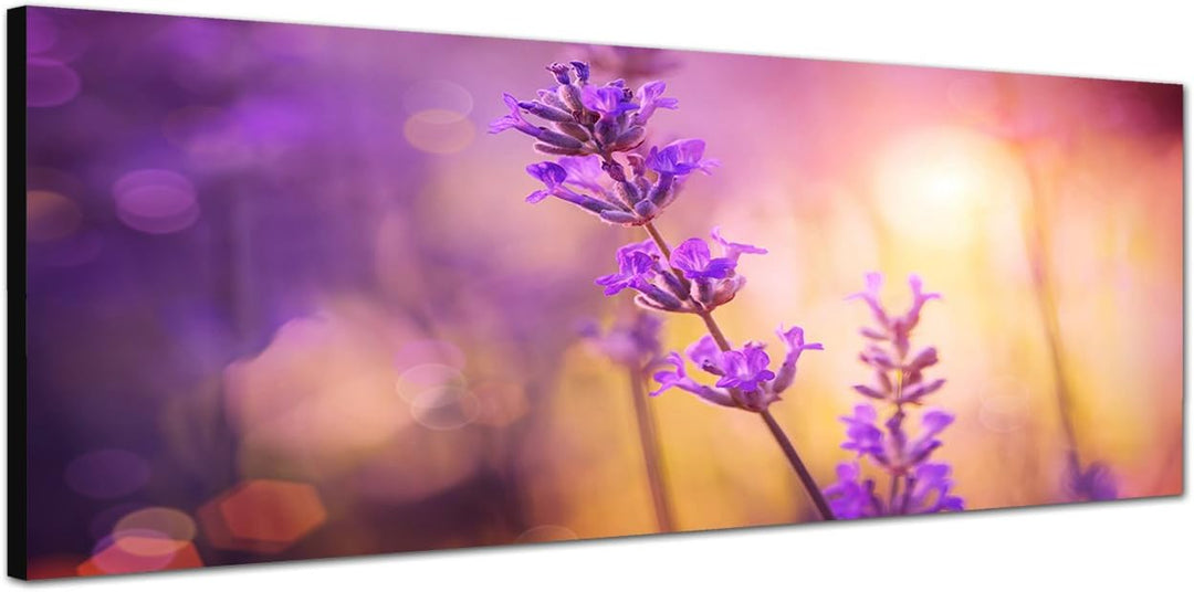Paul Sinus Art Panoramabild auf Leinwand und Keilrahmen 120x40cm Lavendel Sommer Sonnenlicht