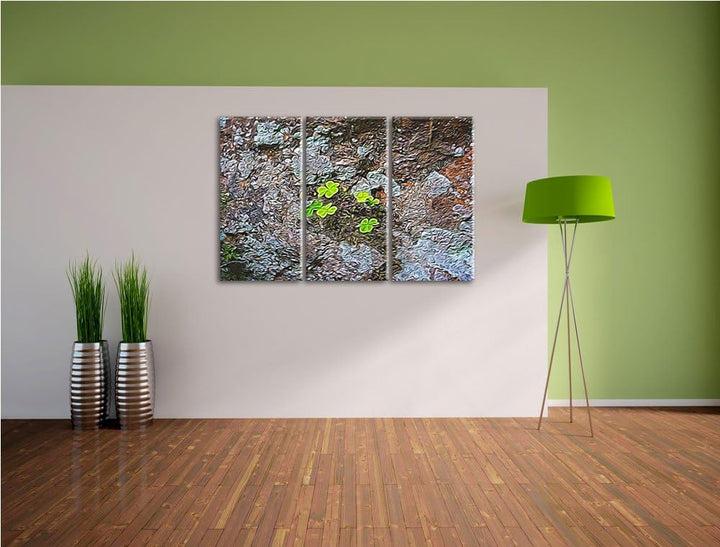 zarte Kleeblätter auf Kalkboden NewArt 3-Teiler Leinwandbild 120x80 Bild auf Leinwand, XXL riesige B