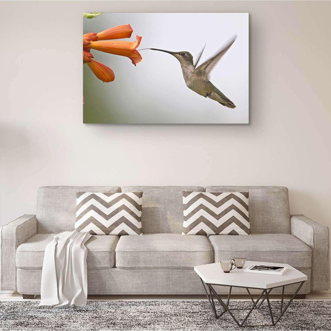 Startonight Bilder Netter Kolibri, Leinwandbilder Moderne Kunst, Vögel Wanddeko Kunstdrucke, Wandbil