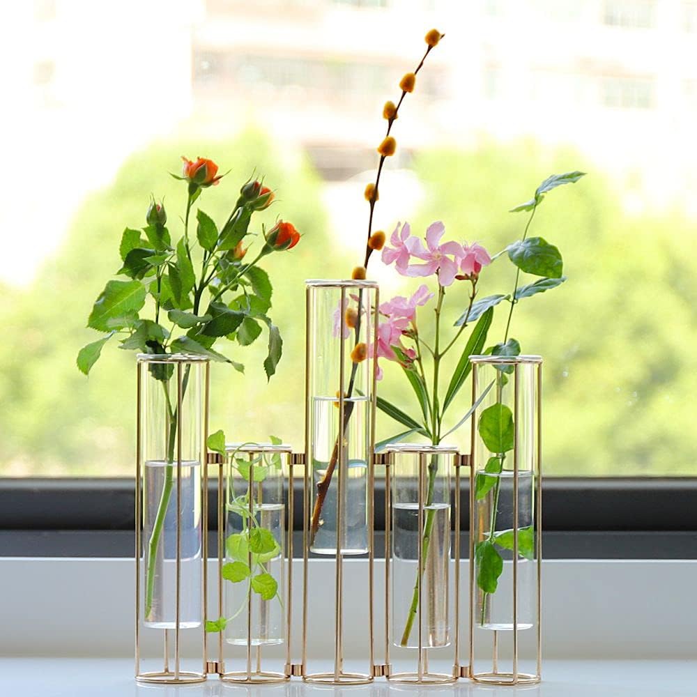 Nother Reagenzglas-Vase für Blumen, Glasvase mit Metallständer, Hydrokultur-Reagenzglasvase, 5er-Set