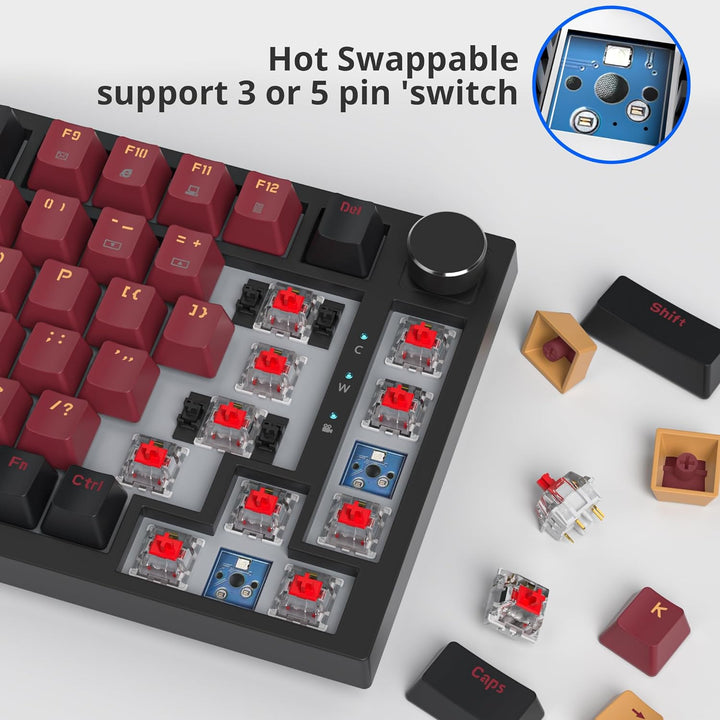 SOLIDEE 75% mechanische Gaming-Tastatur,hot-swap-fähige Tastatur mit rote Schalter,RGB-Hintergrundbe