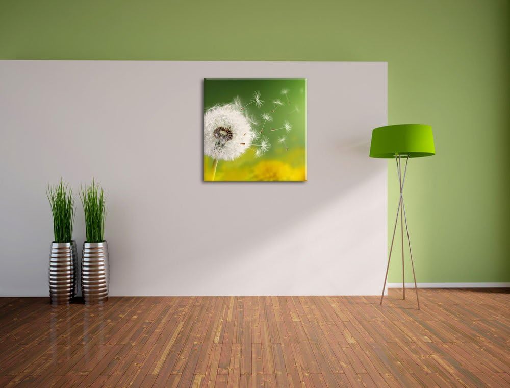 Pixxprint Löwenzahn Samen, Format: 70x70 auf Leinwand, XXL riesige Bilder fertig gerahmt mit Keilrah