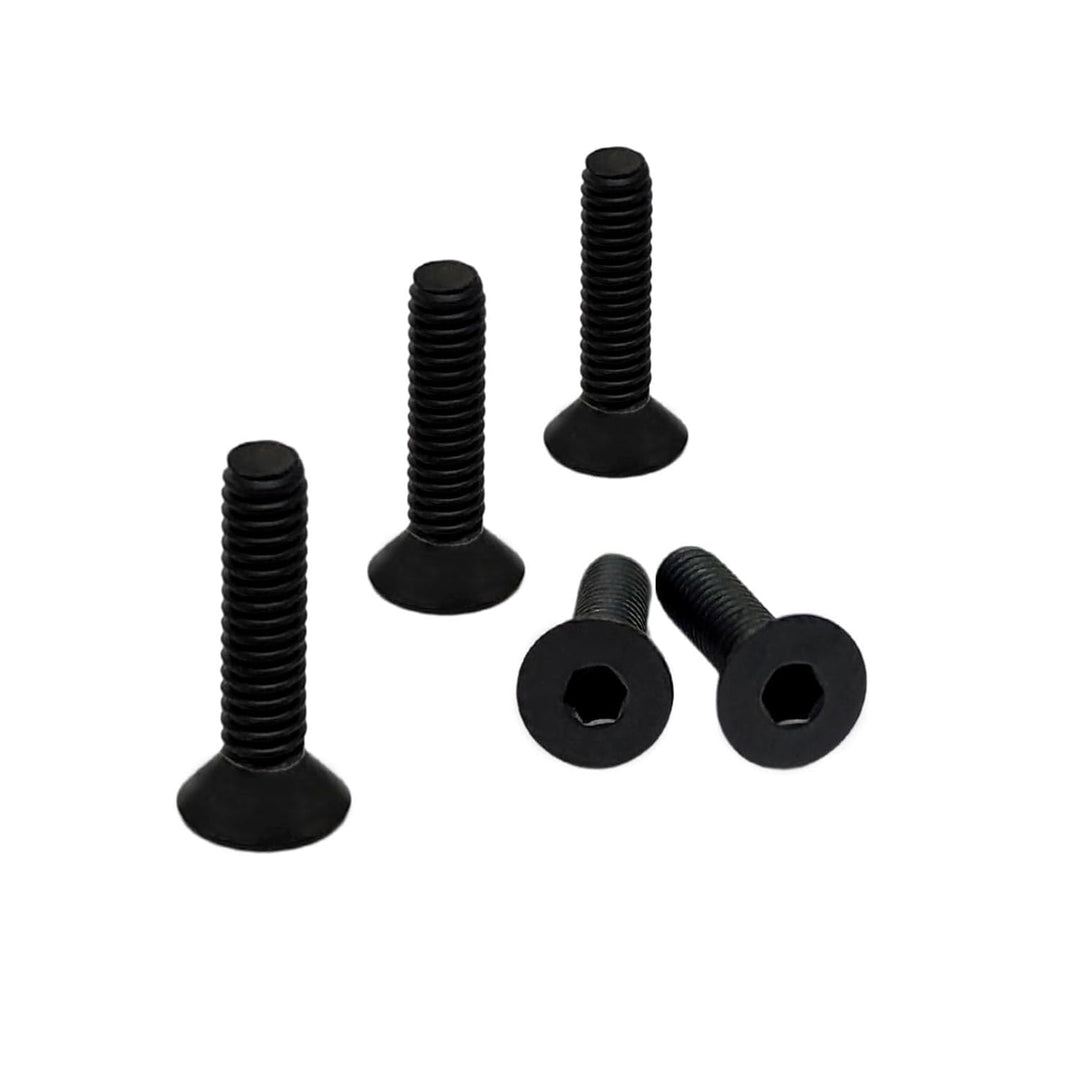 RISON-Titanum 10 Stück Titan Kleine Schrauben M2 M2.5, Winzige Mikroschrauben Set DIN7991, Uhrenbril