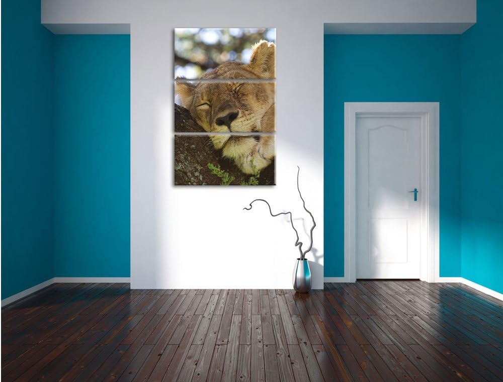 Pixxprint müde Löwin ruht auf Baum 3-Teiler Leinwandbild 120x80 Bild auf Leinwand