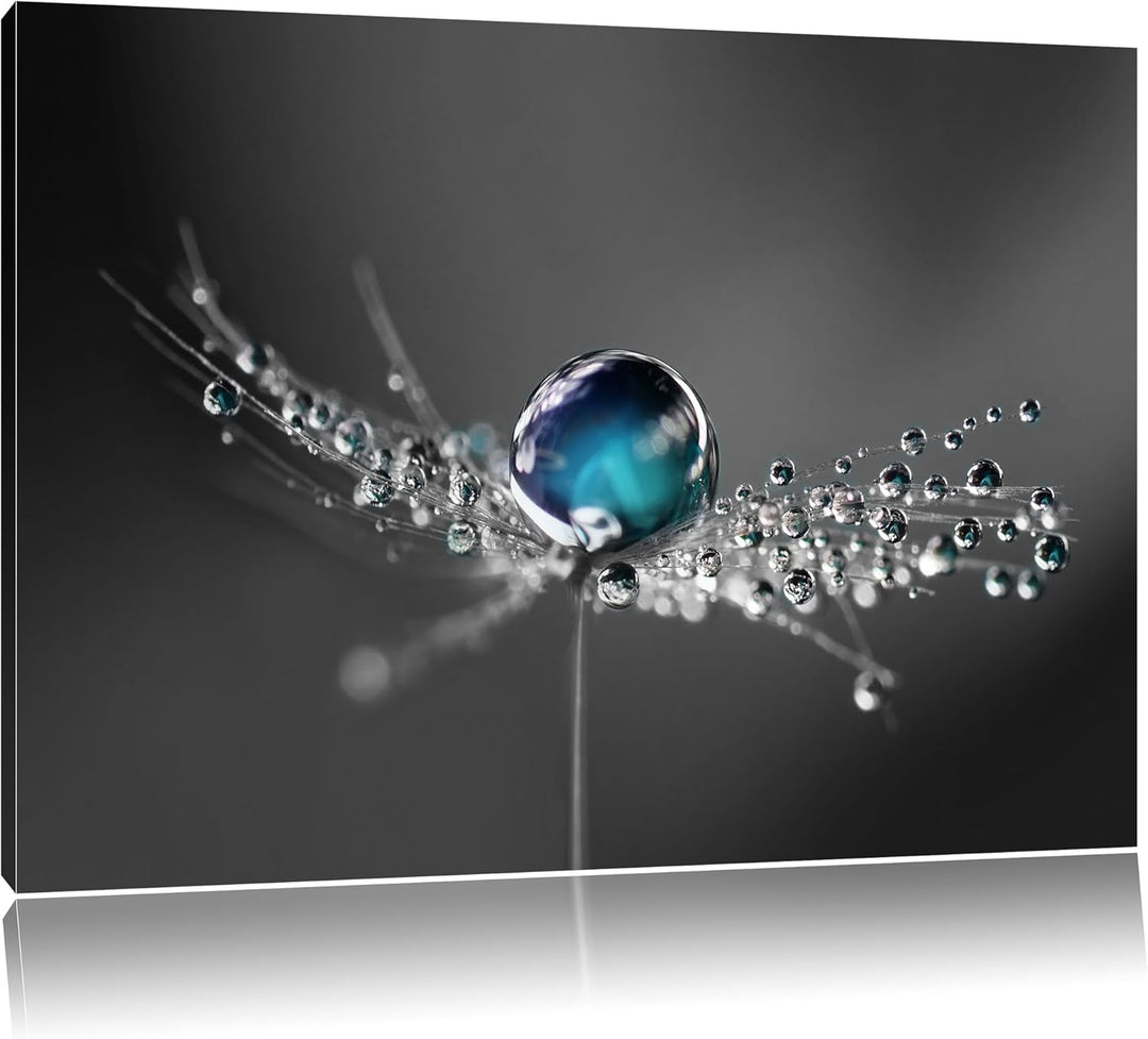 Pixxprint Wassertropfen auf Einer Pusteblume als Leinwandbild/Grösse: 100x70 cm/Wandbild/Kunstdruck/