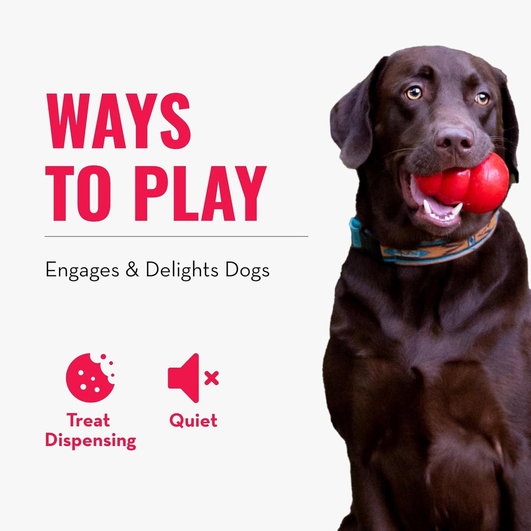 KONG – Rewards Ball – Besonders Robuster Interaktiver Leckerlispender – Für Grosse Hunde