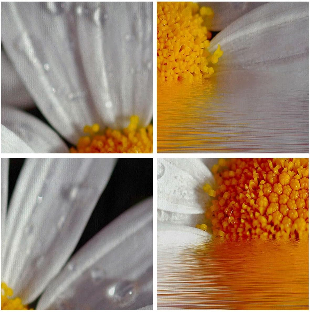 Bilder auf Leinwand Kraut Kamille Blume Wasser Leinwandbild 70x50cm Wandbilder Dekoration Wohnzimmer