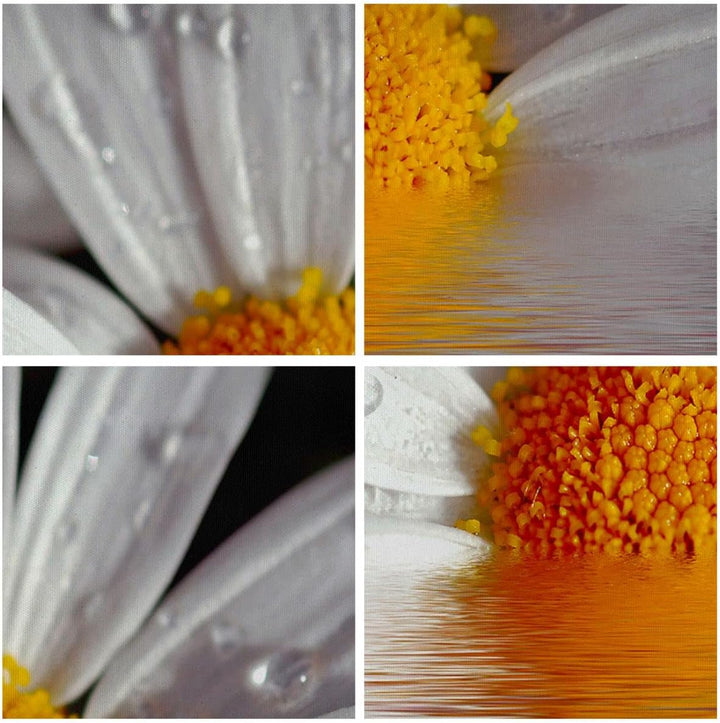 Bilder auf Leinwand Kraut Kamille Blume Wasser Leinwandbild 70x50cm Wandbilder Dekoration Wohnzimmer