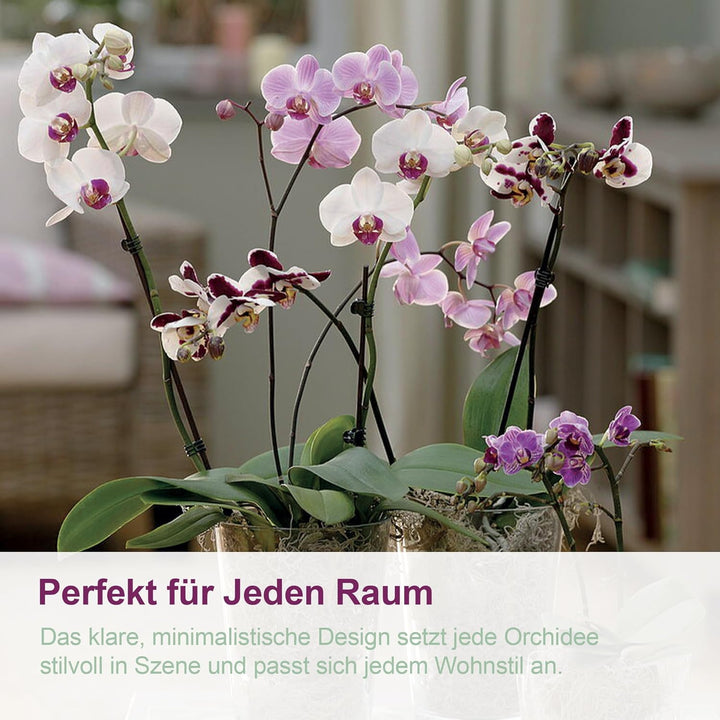 Kalapanta 5 transparente Plastiktöpfe für Orchideen mit Entwässerungslöchern und 5 Untersetzers (5,