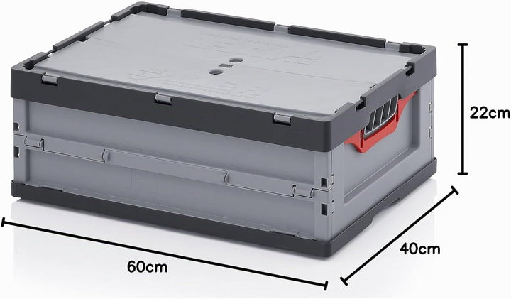 Auer Packaging 2x Profi-Faltbox 60 x 40 x 22 mit Deckel Faltbarer Eurobehälter Klappbox für Transpor