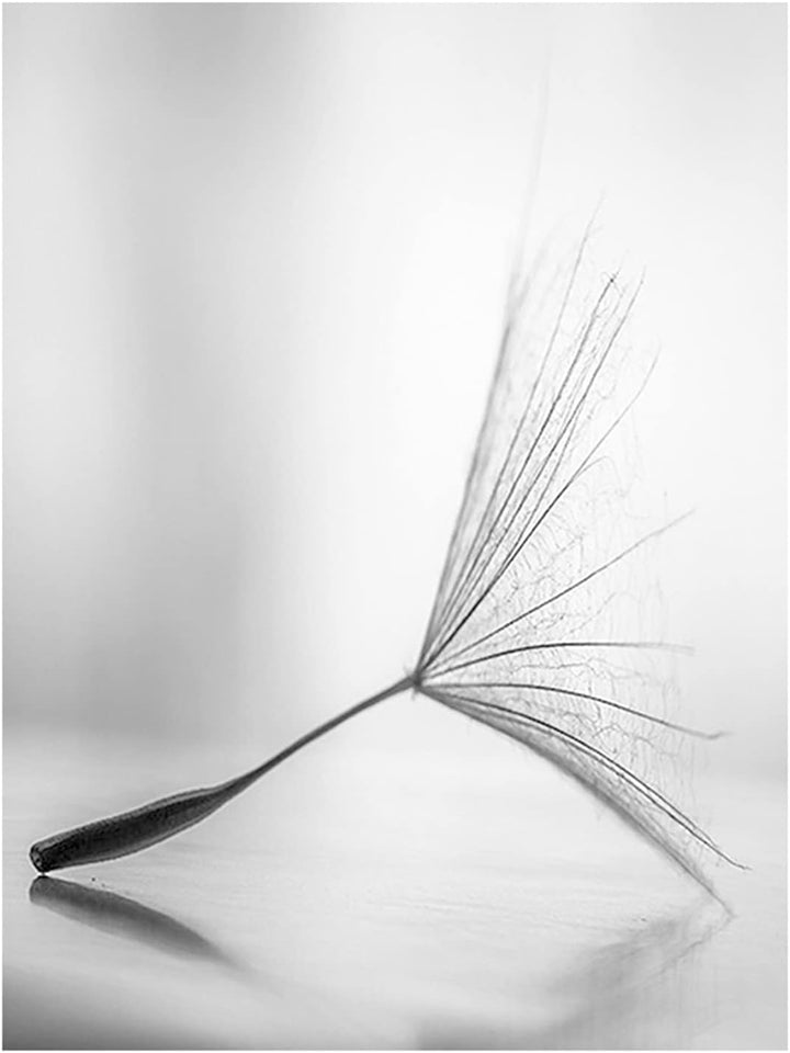 TROYSINC 3er Set Design-Poster Wandbilder, Pusteblume Ohne Rahmen Wandbild Print Bilder, Leinwand Ku