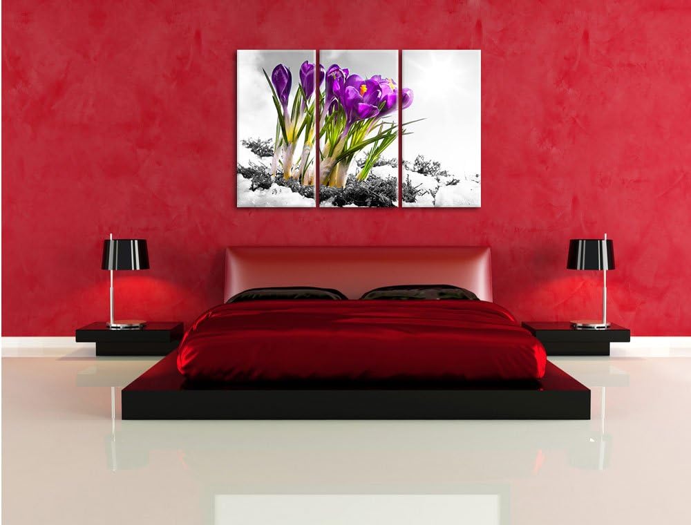 Pixxprint Kunst Frühling florwer Hintergrund als Leinwandbild/Grösse: 3 Teilig (120x80) cm/Wandbild/