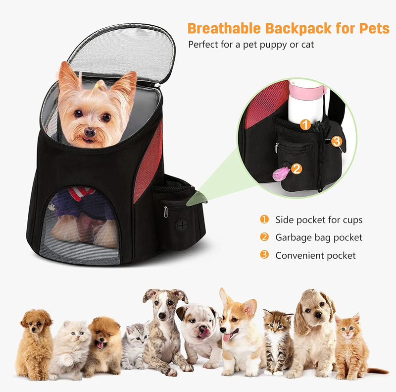 PETCUTE Hunderucksack Katzenrucksack Rucksack für kleine Hunde Haustiertragetasche Taschen mit Abneh