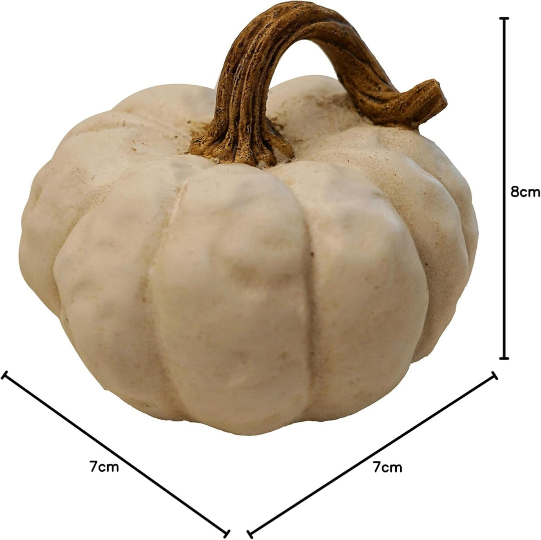khevga Herbst-Dekoration Deko-Kürbisse im Set (weiss), Weiss