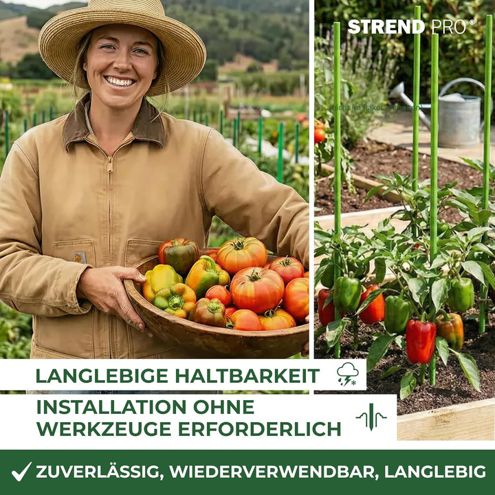 STREND PRO Pflanzstäbe 150 cm - 25 STK. | Ø 7.9 mm Fiberglas Rankstab Grün | Pflanzenstütze & Rankhi