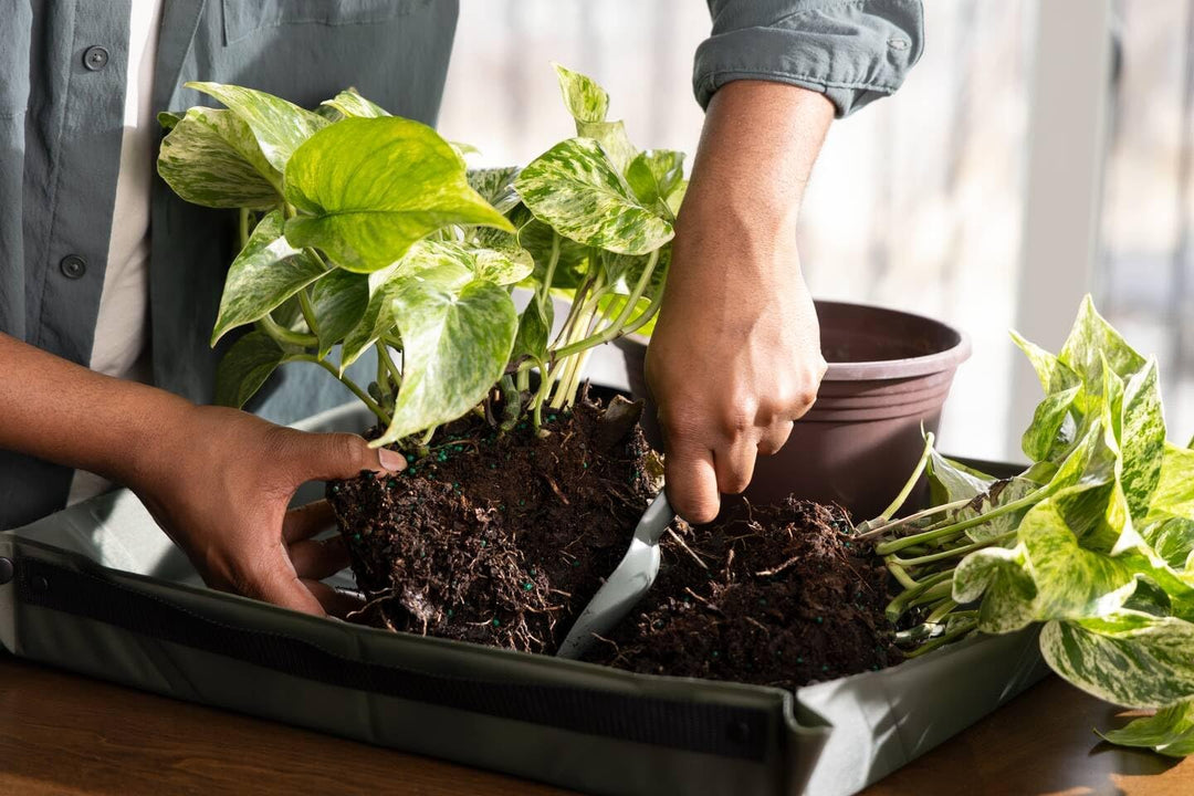 Fiskars Urban Plant Care Pflanzwerkzeuge Set, 3-TLG, Basic-Kit für die Pflanzenpflege, Platzsparende