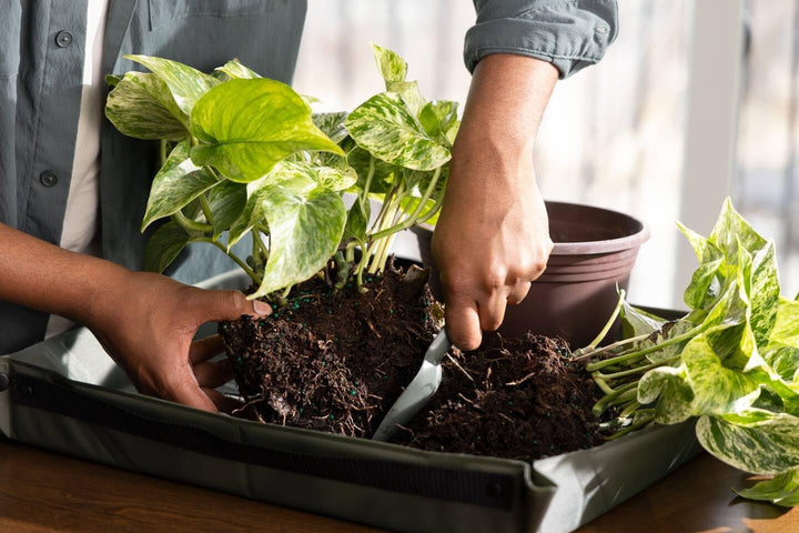 Fiskars Urban Plant Care Pflanzwerkzeuge Set, 3-TLG, Basic-Kit für die Pflanzenpflege, Platzsparende