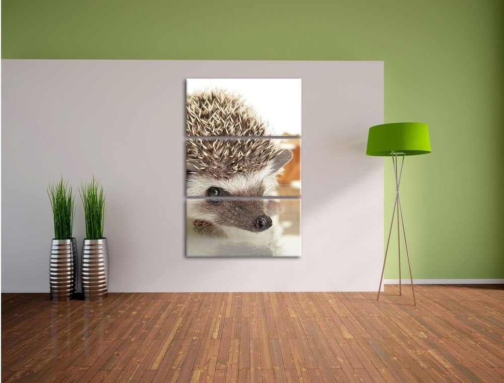Pixxprint Süsser Igel 3-Teiler Leinwandbild 120x80 Bild auf Leinwand,
