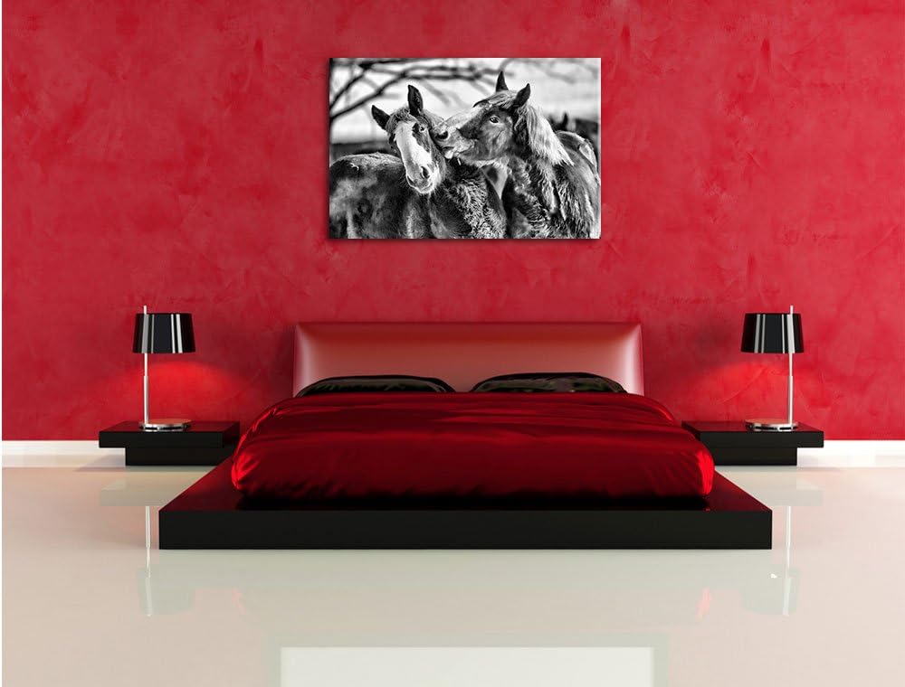 Pixxprint schmusende Schimmel / 100x70cm Leinwandbild bespannt auf Holzrahmen/Wandbild Kunstdruck De