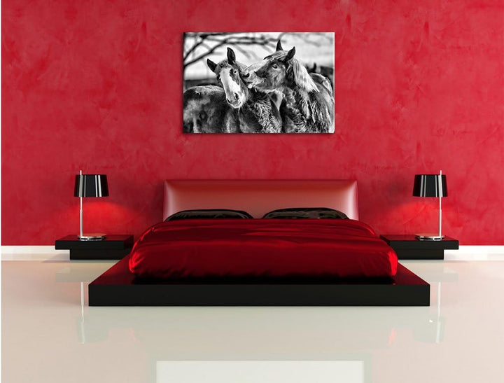 Pixxprint schmusende Schimmel / 100x70cm Leinwandbild bespannt auf Holzrahmen/Wandbild Kunstdruck De