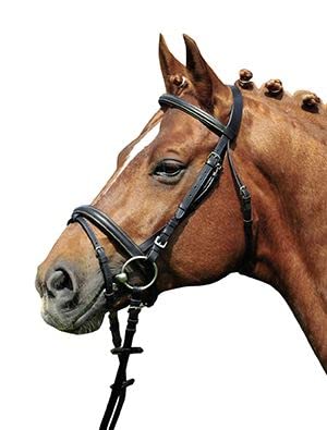 HKM Trensenzaum Lou schwarz Shetty